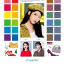 브라이트스튜디오 이미지