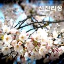 펜션빛뜨란 이미지