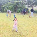 코리아 뮤직파크 이미지