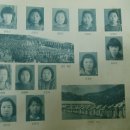 함백초등학교 이미지