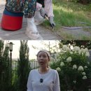 (주)신지 엑스포츠뉴스