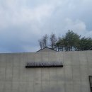 지티가든