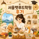 서울펫푸드학원 후기｜직접 상담 받아보고 알게 된 현실 비용과 수업 퀄리티