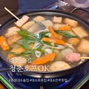 청춘호프OK