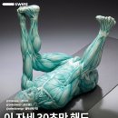 30초만 해도 골반 허리 통증 완화되는 자세 이미지