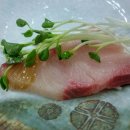 거제활어 이미지