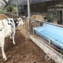 청원대중목욕탕 이미지