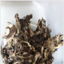 명당한의원 이미지