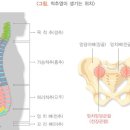 [PST스포츠운동재활센터] 몸이 굳는거 같아요.. 이미지