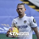 필립스(장미) 이미지