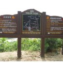 걷기지도사(야간) 이미지