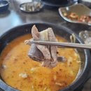 신설도로 | 세종 부강면 &#39;신설집&#39;, 70년 전통 백년가게 순대국밥! (매운맛, 솔직 후기, 내돈내산)