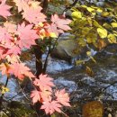 꿈꾸는 계곡 펜션 이미지