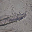 희망동물병원 이미지