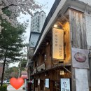 파닭 파닭 | 마포 대흥역 맛집 파닭파닭 솔직후기 닭안창살 오돌뼈 벚꽃뷰