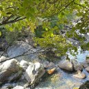 소백산장 이미지