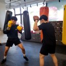 최고체육관 복싱클럽 이미지