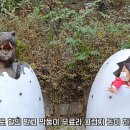 덕평공룡수목원 이미지