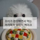 까까묵자 | 까까묵자 콤비네이션 타르트 후기(그릇이 &#39;들썩&#39;일 정도로 좋아하는 강아지 케이크)