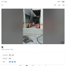 재업)정수리 혹은 머리부근에 지보꼬주입하는년 건설일 조회수지역 미국 나주에 갈때 양자학(펄스,전기) 디스 이미지