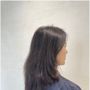 배곧아브뉴프랑센트럴레드 이미지