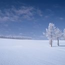 폭포수목장 이미지