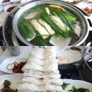 하얀집 | 전남 여수 하모샤브샤브 맛집 &#39;하얀집&#39; 내돈내산 후기