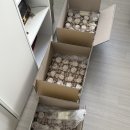 이듬 | 돌준맘 epi 4.실용적이고 예쁜 답례품 추천! 바이듬 히말라야 핑크솔트 내돈내산 후기