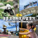 건국유치원 | 홍콩 오션파크 리얼 후기 ♥ 판다 만남, 돌고래쇼, 펭귄 먹이주기 체험 놀이기구