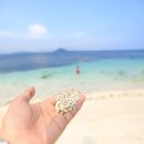 서빈백사해수욕장 이미지