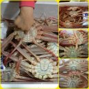 태흥모텔 - 고창군 성산2길 3 | 파란만장 대게 파티1탄 <영덕대게맛집 대개시세>