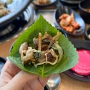 익산맛집 / 담백한 오리불고기 전문점 백년오리 다녀온 후기!