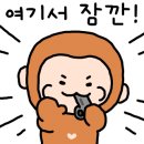 보스베이프 울산삼산점