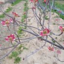 봄이네농장 이미지