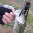 청도천9 이미지