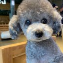 티켓투더문 이미지