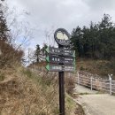 군산박대삼촌 | 군산 선유도 남도밥상 Ι 겉바속촉 짭조름한 박대 구이와 뜨끈한 바지락탕. 박대 식감이 거의 과자였다.