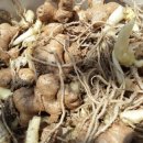 구름다리농장 이미지