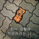 [리플] 유산균드레서분들 어디유산균드시긔? 이미지