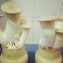 가락농장 이미지