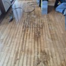 마루마리 이미지