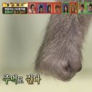 일단닭치고뜯어 | [운동일기/25.03.22]주먹도 쥔다