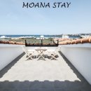 모아나스테이 이미지