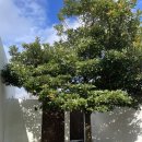 시재시재 | [제주-한경면 숙소] 가성비 감성 숙소 &#39;시재시재&#39; 내돈내산 방문 후기