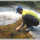 두타산성 이미지