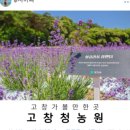 이솔팜빌리지 각시재 이미지