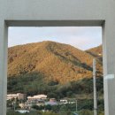 내장산208정읍펜션 이미지