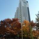 늘푸른이화약국 이미지