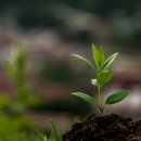 백록담한의원 이미지