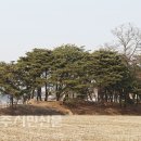 구두마을 이미지